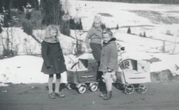 medlajla_ne_lisb